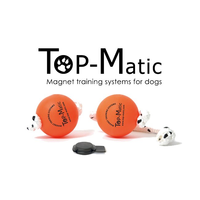 Palline magnetiche Top-Matic